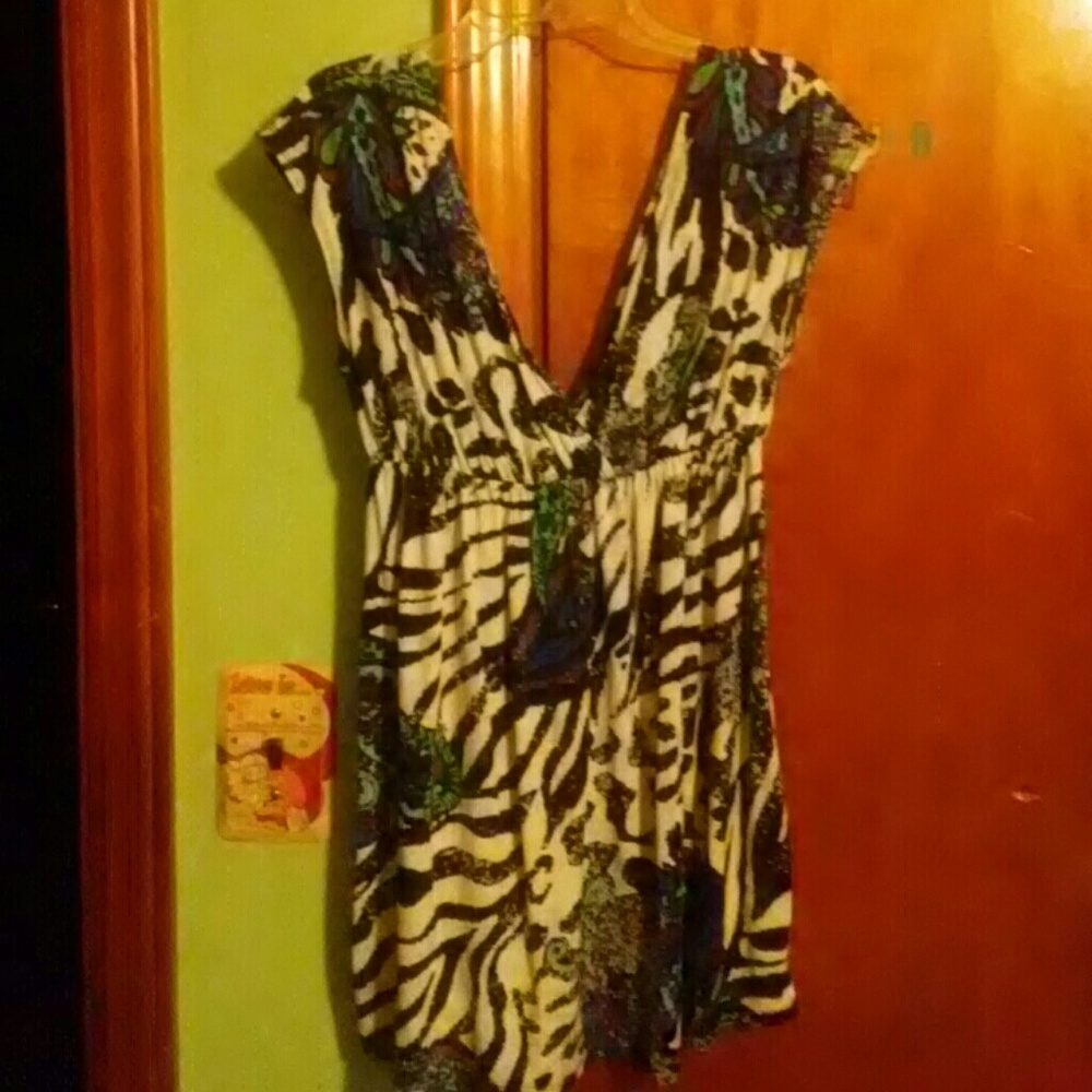 Zebra Dress